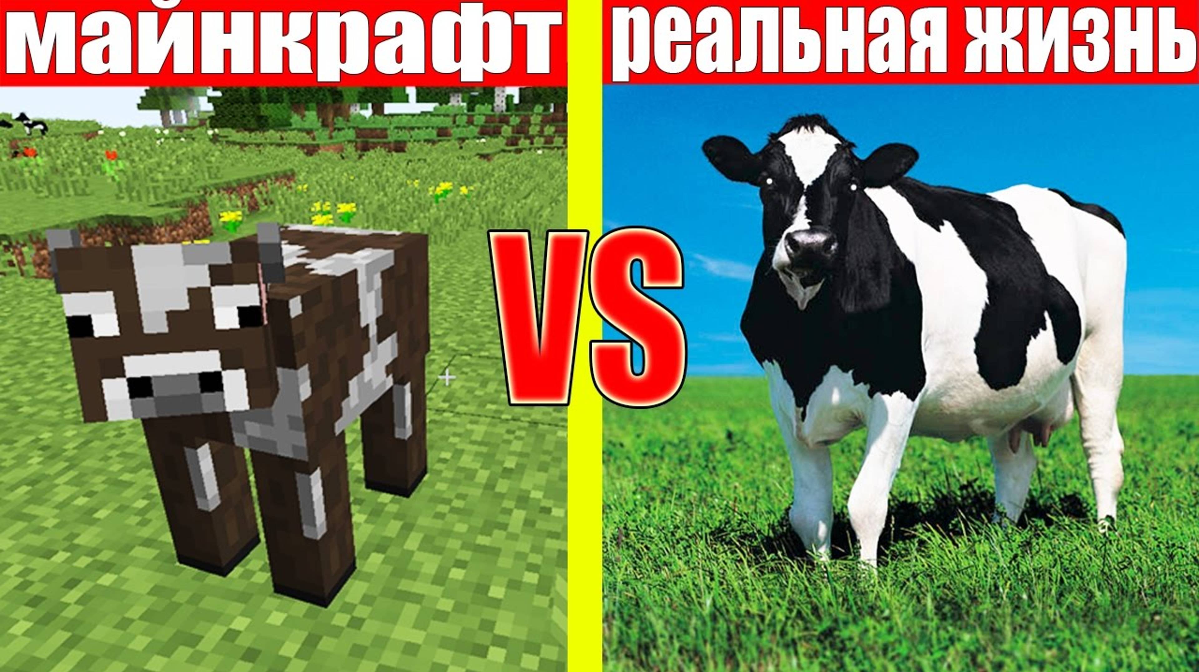 МАЙНКРАФТ ПРОТИВ РЕАЛЬНОЙ ЖИЗНИ 4 _ MINECRAFT VS REAL LIFE