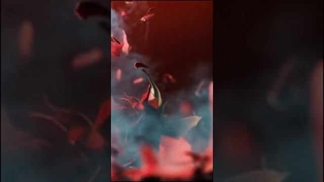 MITRO - Цветы