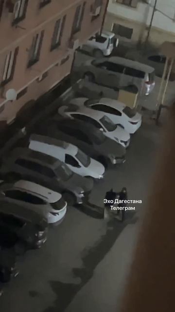 В Махачкале на улице Акушенского каждую ночь происходят разборки правоверных гайнутдиновцев !!!