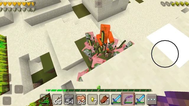 1000004955.mp4