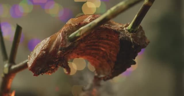 Свиные ребрышки барбекю на открытом огне.