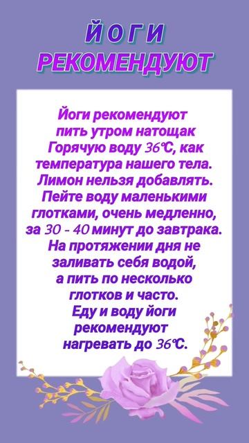 Й О Г И  РЕКОМЕНДУЮТ    — 10 декабря 2022 г.