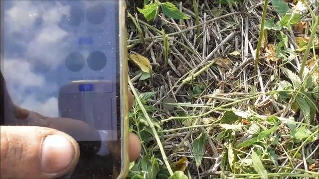 КОП НА ФУНДАМЕНТЕ ЦАРСКИХ ВРЕМЕН   MD Minelab X Terra 705 Коп 2024