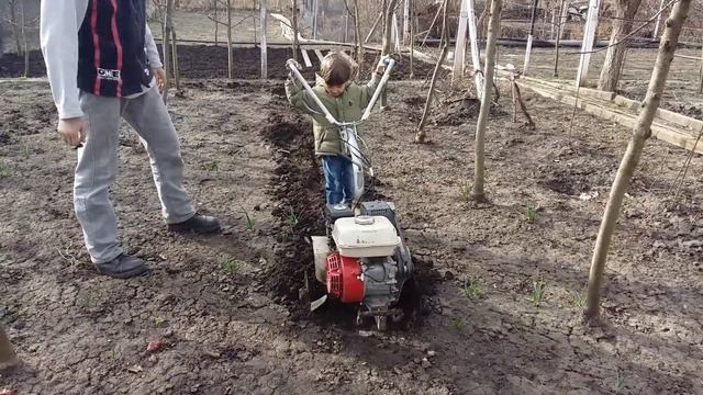 Matei lucrează cu motoblocul. 08.03.2016