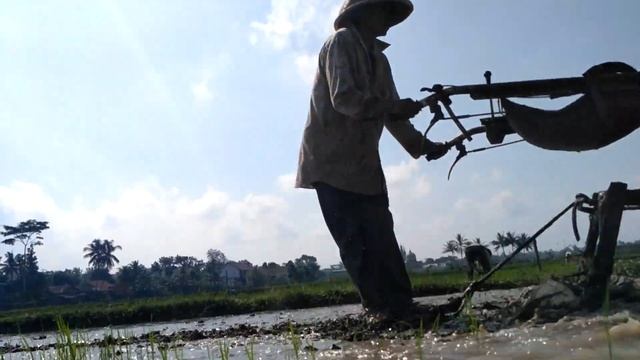 Manufer traktor sawah quick g1000 boxer lari lari dengan kubota rd 85 2s