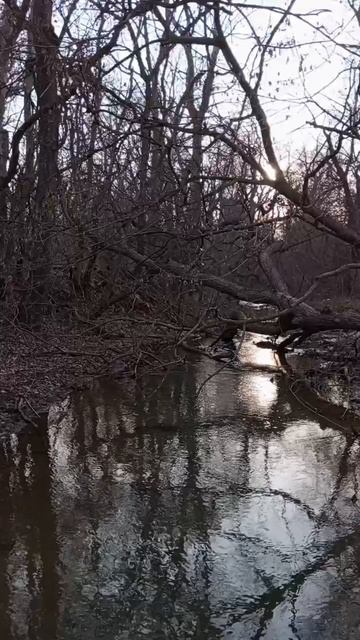 01.02.2025 #сегоднятак #сегодня #природа #nature #oggicosì #бүгін #oggi #hoy #今日 #today #오늘 #자연 #自然