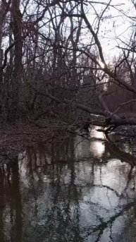 01.02.2025 #сегоднятак #сегодня #природа #nature #oggicosì #бүгін #oggi #hoy #今日 #today #오늘 #자연 #自然