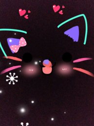 Кот Феня и лучшие друзья