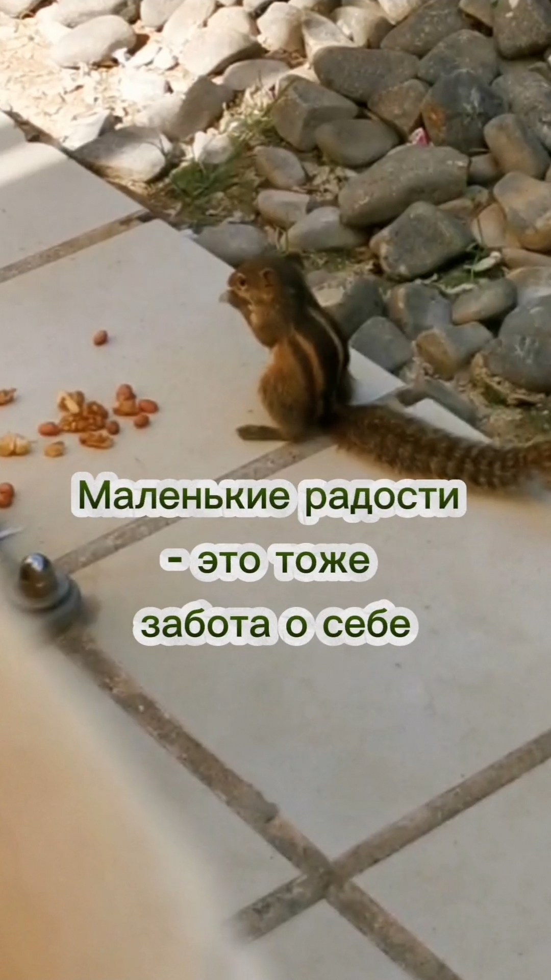 Вкус жизни. Ловить момент. Маленькие радости.