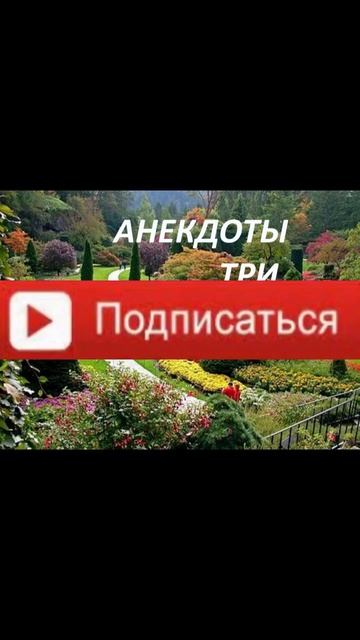 АНЕКДОТЫ  ТРИ   ПОПУГАЯ
