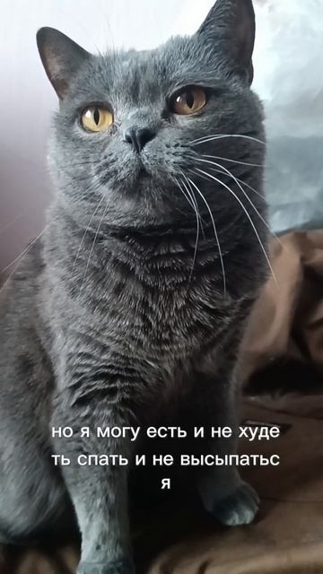 А какие "супер" способности есть у вас? 😼
