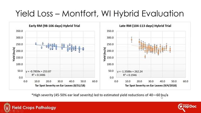 Tar Spot Management on Corn, A Wisconsin Perspective