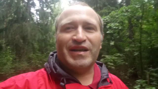 Как себя мотивировать заниматься йогой утром? Йога онлайн