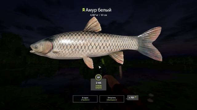 Russian Fishing 4 кайф для новичков