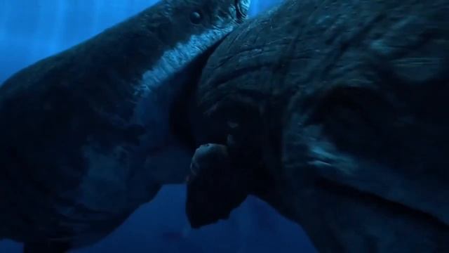 Otodus Megalodon VS Mousaurus Hoffmanni (remake) ENDING THE DEBATE