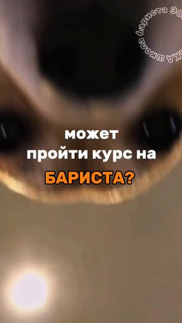 #бариста #BubbleTea #ЧайнаяЦеремония #Кофе #Обучение #ОткрытиеКафе✌️