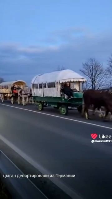 1000002532.mp4