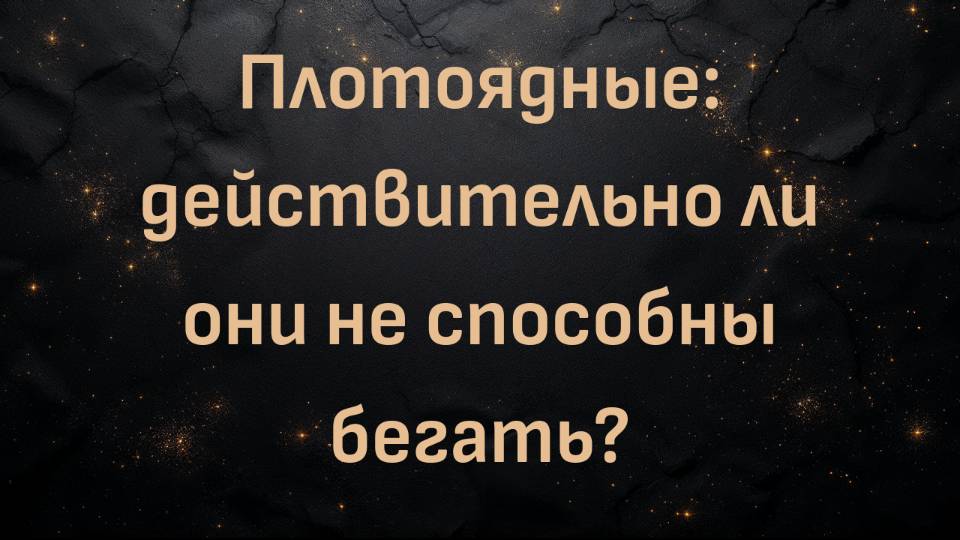 Плотоядные: действительно ли они не способны бегать? (доктор Шон Бейкер и Ник)