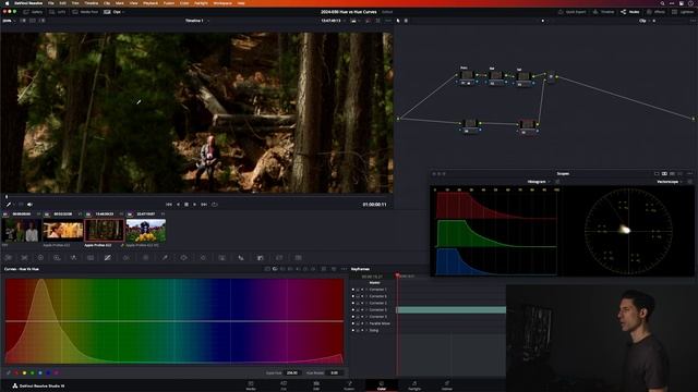 2. Pro Colorist Explains Hue vs Hue Curves in Resolve