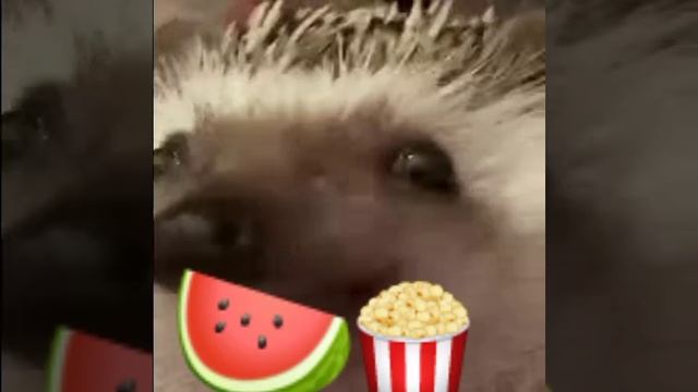 1000014338.mp4