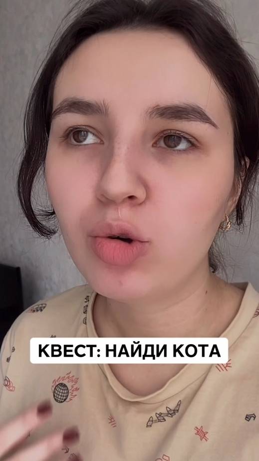 Квест - найди кота #сфинксы_в_топе #найдикота