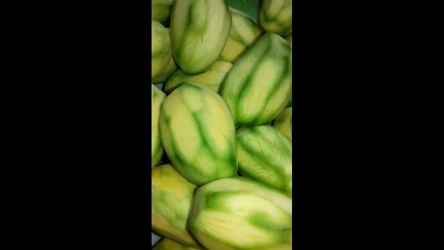 #shorts Crunchy fresh mangoes || Elen .E