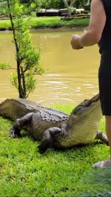 🐊Еще один  ответ на вопрос - почему женщины живут дольше мужчин ☝️

👉Обратная сторона