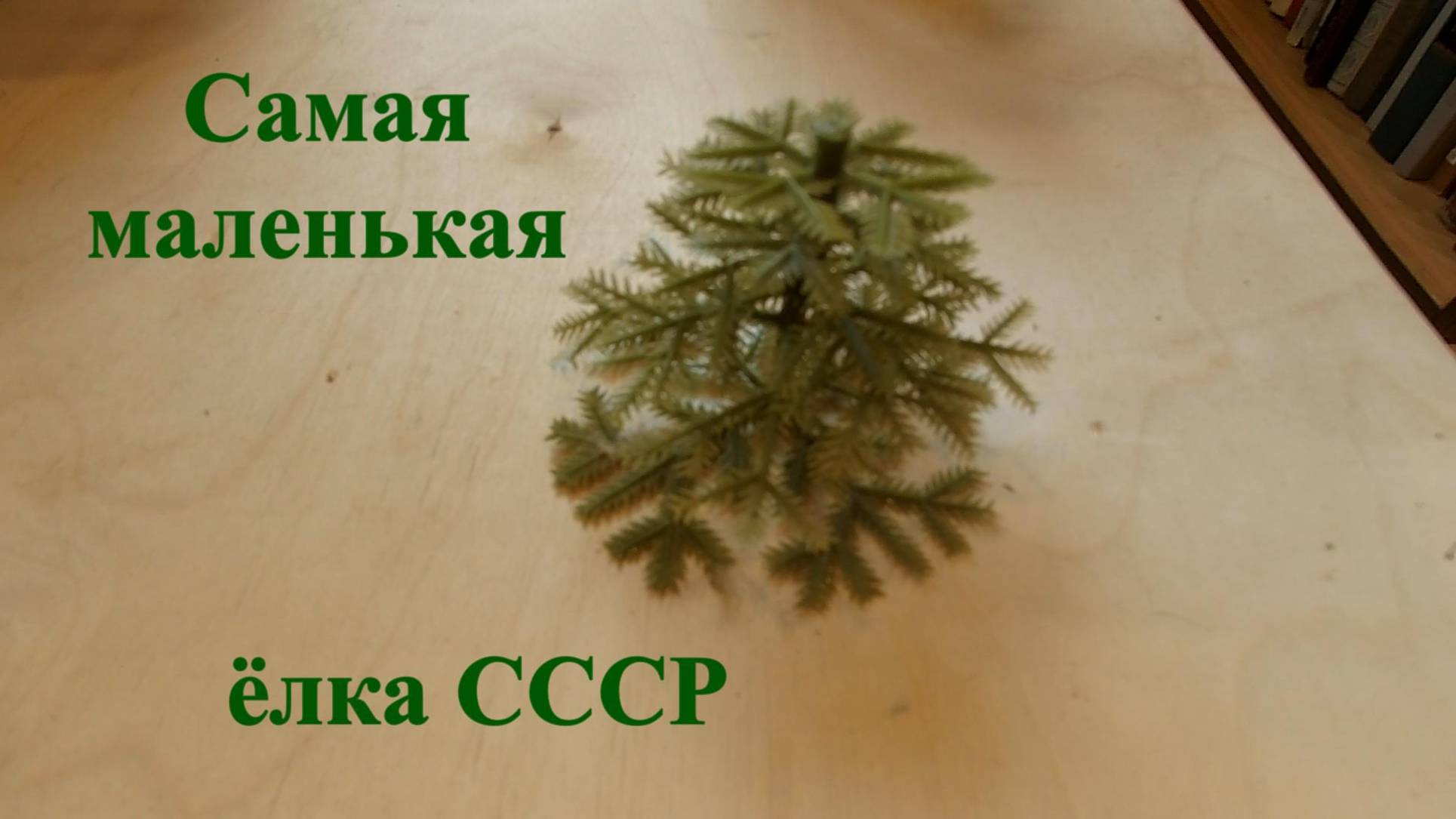 Самая маленькая ёлка СССР