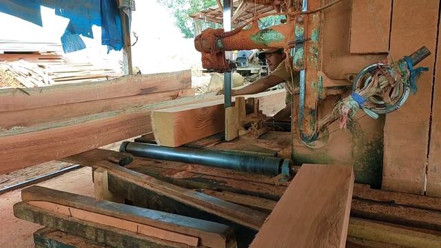 proses penggergajian batang kayu menggunakan chainsaw still, dan  band saw