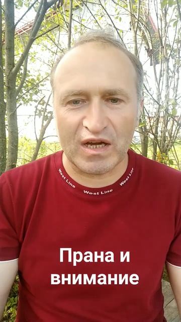 Что происходит с вниманием когда вы практикуете йогу? Основы йоги  #гармония #здоровье
