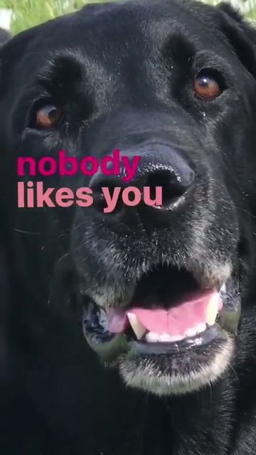 John Mayer Insta story May 19, 2017