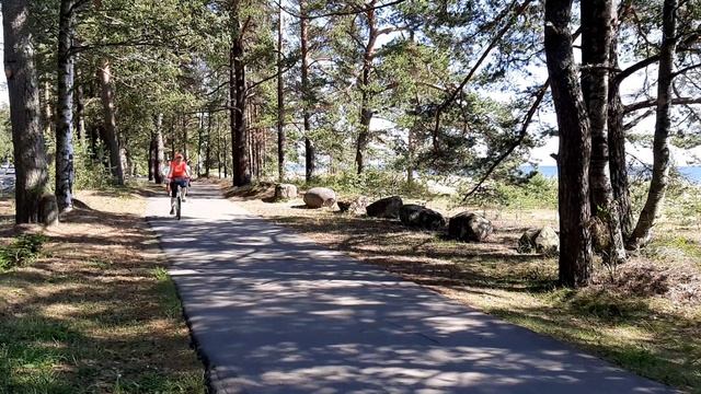 Город Зеленогорск Курортного  района Санкт-Петербурга