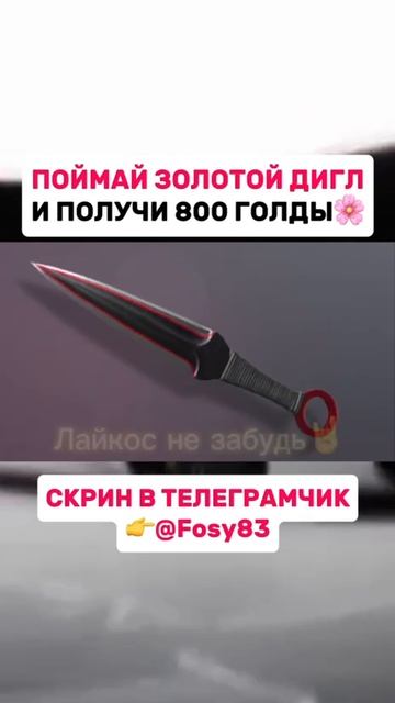 1000009340.mp4