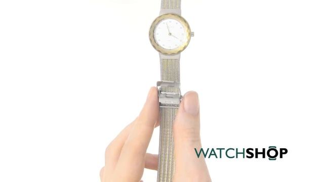 Skagen Ladies' Classic Watch (456SGS1)