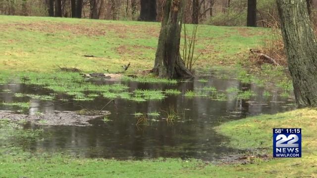 Rain showers continue to delay post-winter yard work in western Massachusetts