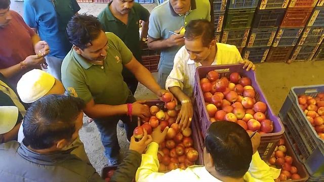 Redlum Gala Apple Price !! Shop No 17 !! Patlikuhal , Sbzi Mndi, Kullu, Himachal pradesh !!
