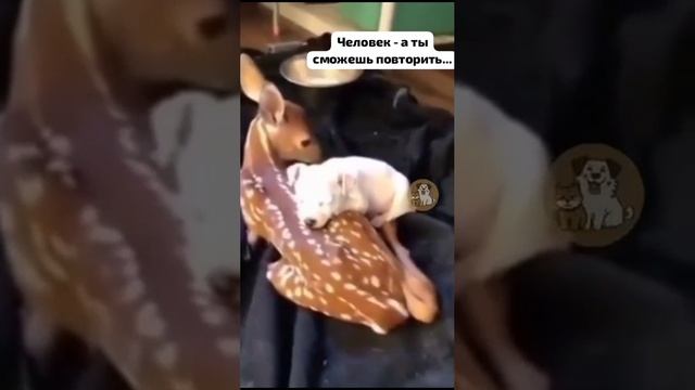 Бывает и такое