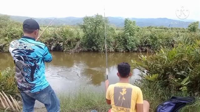 ManCing di Spot ini Sampai ll Kewalahan Straeknya, pelampung diembat ll(6.1.21)