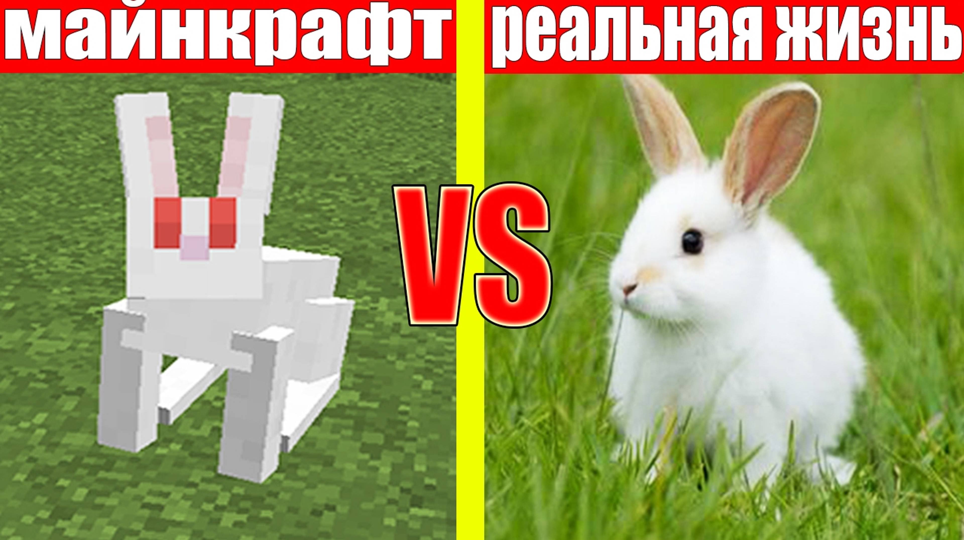 МАЙНКРАФТ ПРОТИВ РЕАЛЬНОЙ ЖИЗНИ 8  MINECRAFT VS REAL LIFE