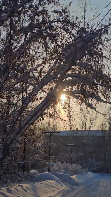 Кабы не было зимы в городах и сёлах ..