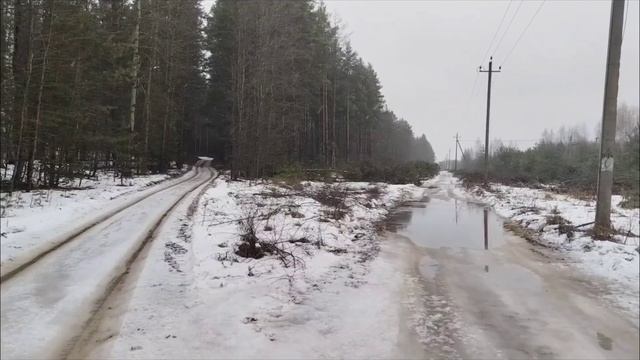 День № 7: ФИНАЛ РЕКОРДНОЙ ОТТЕПЕЛИ. Зима подаёт признаки жизни