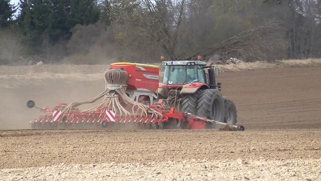 Seeding 2021 | Massey Ferguson 7724 & Pöttinger Terrasem C6 seed drill