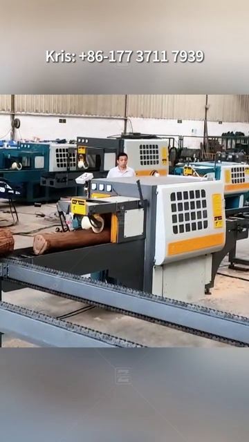 Round wood log cutting rip saw machine line with rotation feeding and discharge conveyors