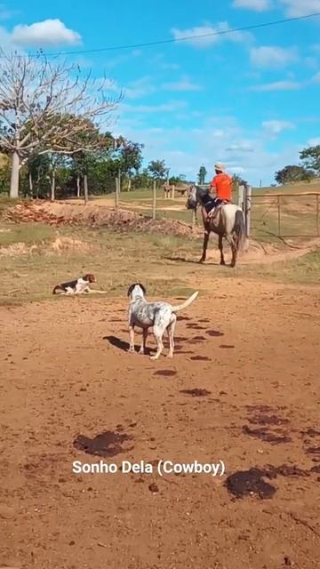 MUITOS ANOS SEM ANDAR CAVALO MANTANDO SAUDADE ( DOMIGÃO )