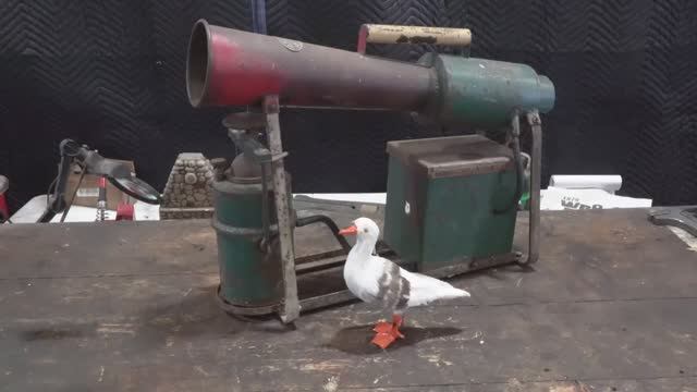 Реставрация отпугивателя птиц