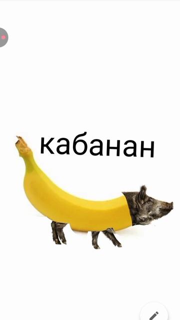 первый шортс с бредом
