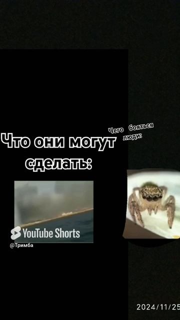 что бояться люди 
VS что они могут сделать