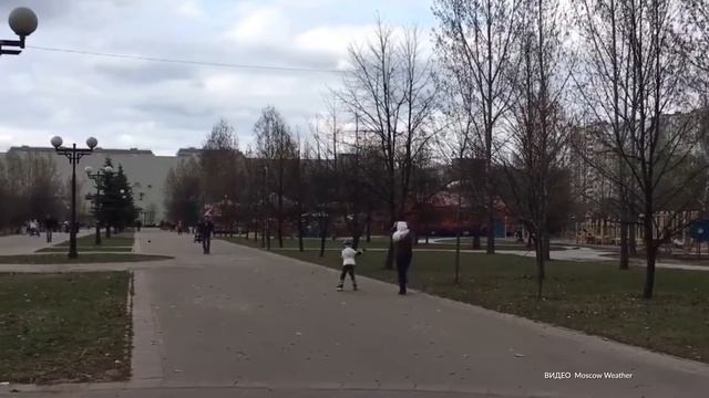 Москвичей предупредили о пасмурной погоде в понедельник