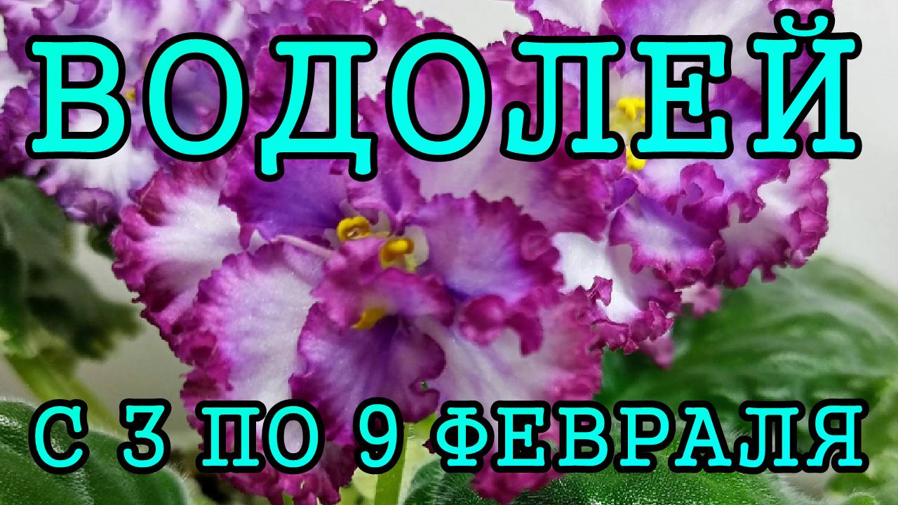 ВОДОЛЕЙ таро прогноз на неделю с 3 по 9 ФЕВРАЛЯ 2025 года.