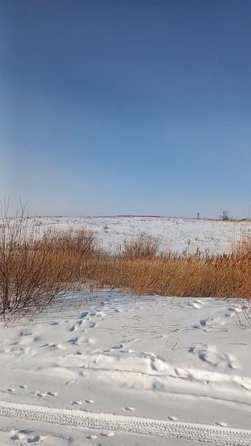 Зимнее озеро